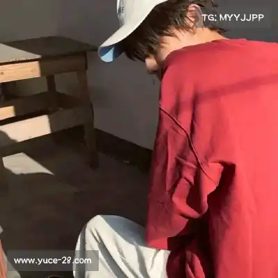石芝